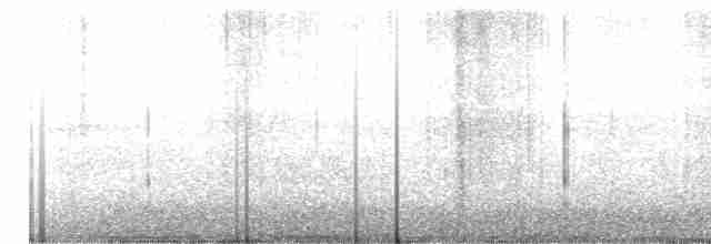 flekkskogtrost - ML582338721