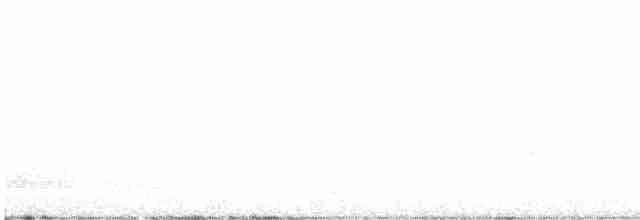 Loggerhead Shrike - ML582354871