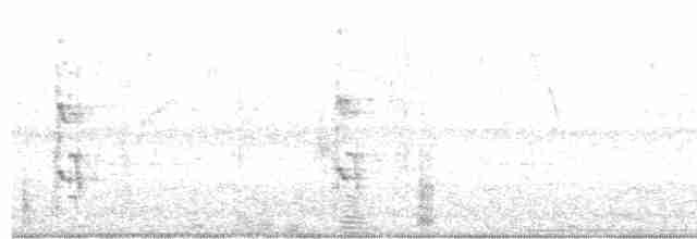 Декол польовий (підвид campestris) - ML582355801