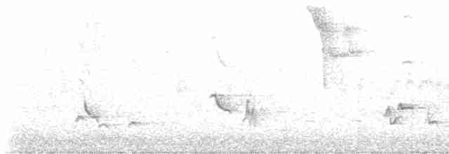 Gray Catbird - ML582361141