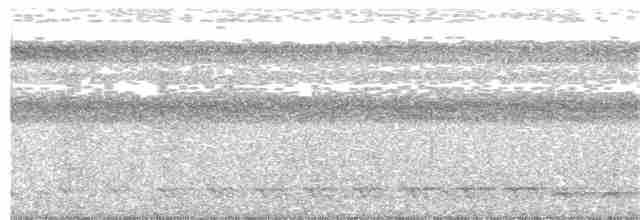 Синешапочный трогон - ML58236931
