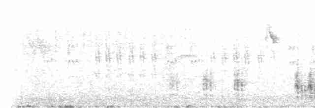 Great Reed Warbler - ML582413421