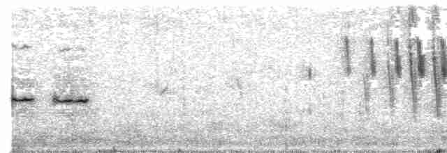 Long-tailed Widowbird - ML582440191