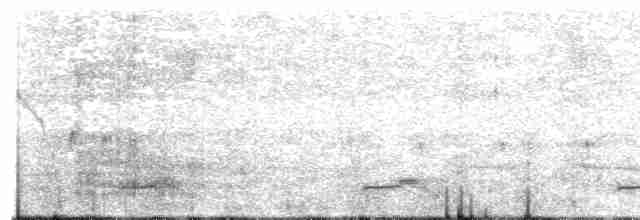 Африканская хохлатая кукушка - ML582440661