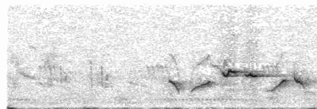 Weißbrauen-Heckensänger [leucophrys-Gruppe] - ML582441421