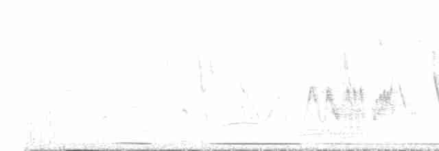Small-billed/White-crested Elaenia - ML582448761