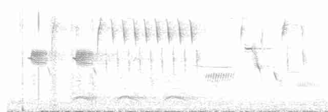 Amerika Kargası - ML582448911