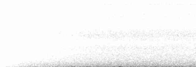 Серогрудый тиранн - ML582492841