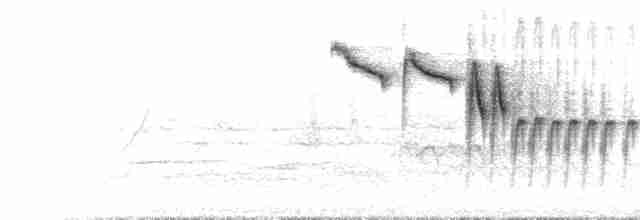 Белая лазоревка [группа cyanus] - ML582509641