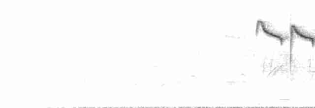 Белая лазоревка [группа cyanus] - ML582509701