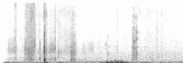 Дрізд-короткодзьоб Cвенсона - ML582534691