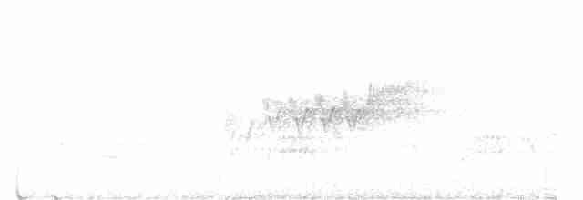 Cerulean Warbler - ML582545031