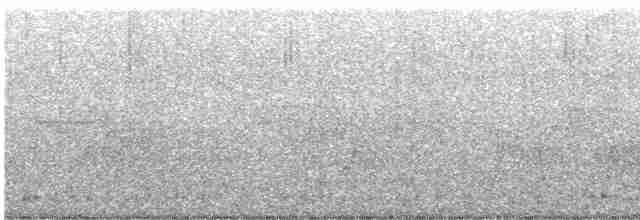 lesňáček černobílý - ML582548231