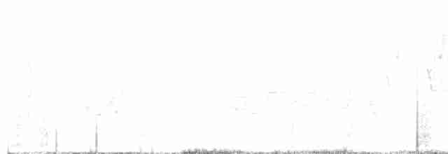 lesňáček černobílý - ML582548631