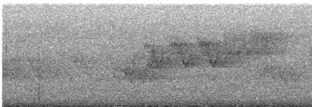 Cerulean Warbler - ML582549101