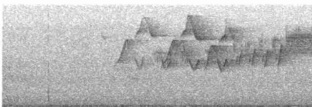 Cerulean Warbler - ML582551851