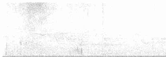 Бурый соловьиный дрозд - ML582551961