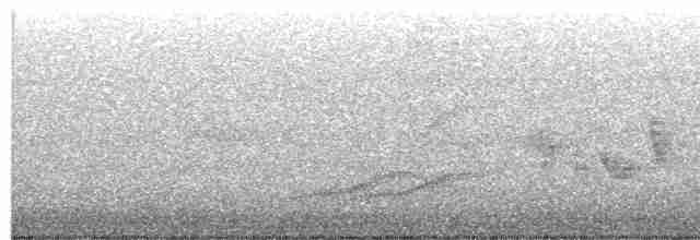 Warbling Vireo (Western) - ML582554741