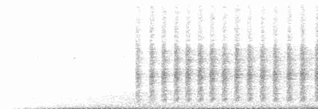 Woodchat Shrike - ML582556421