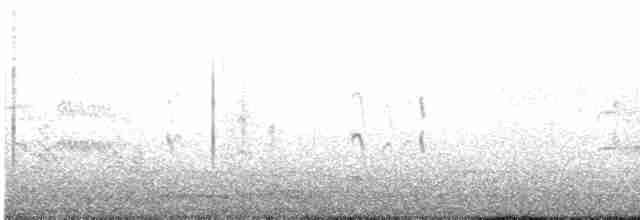 Common Tern - ML582595171