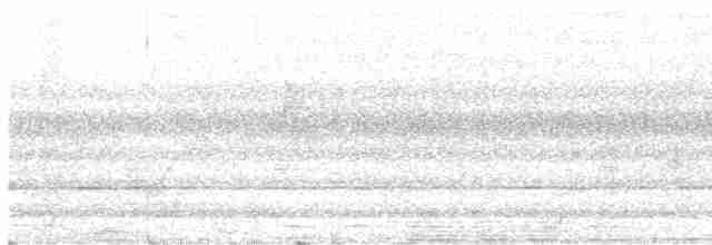 Пінон аметистовий (підвид maculipectus) - ML582635091