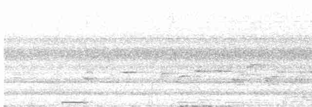 storbrundue (maculipectus) - ML582635361