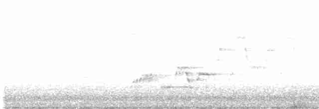 Дрізд-короткодзьоб Cвенсона - ML582638011