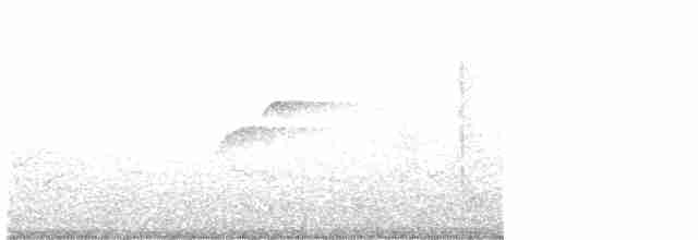 Batı Amerika Sinekkapanı (occidentalis/hellmayri) - ML582652241
