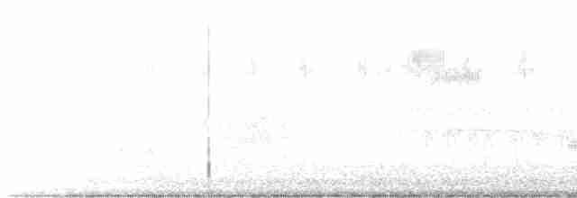 Чернокрылая пиранга - ML582656871