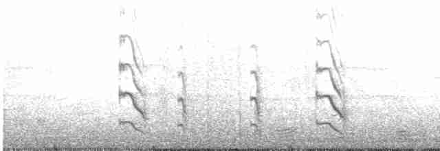 Common Tern - ML582660731