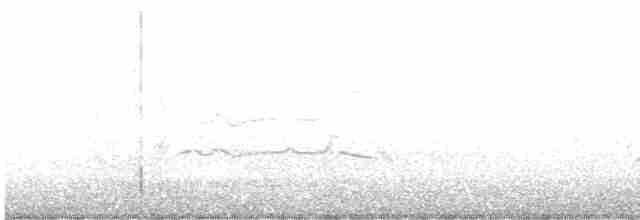 Белогорлый канюк - ML582672581