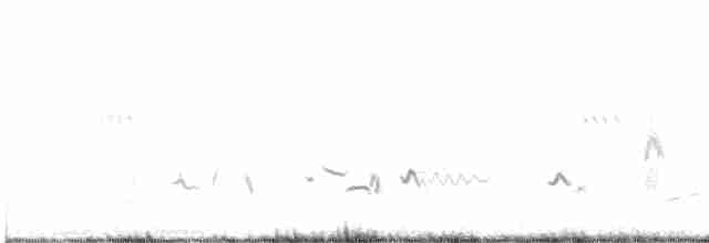 Cuitlacoche de las Artemisas - ML582693411