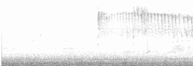 Колібрі-сапфір синьоголовий - ML582696731