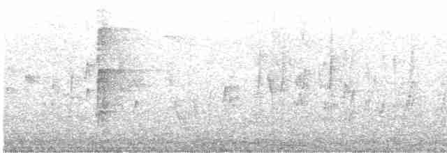 Great Spotted Woodpecker - ML582760681
