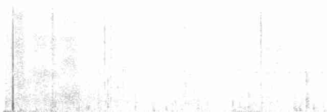 Шлемоносный дятел-гренадер - ML582781481