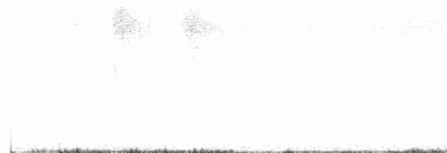 Болотянка чорногорла - ML582815141