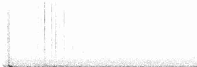 Pine Warbler - ML582816521