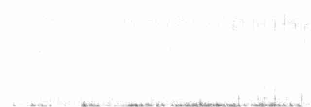 Елепайо гавайський (підвид ridgwayi) - ML582824721