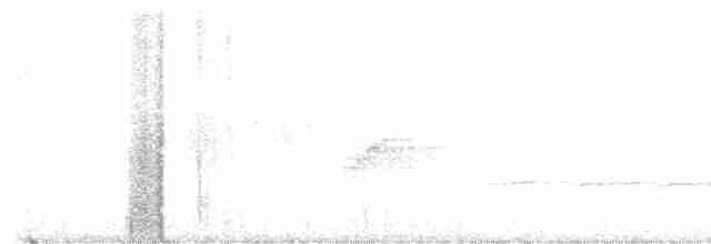 Юнко сірий - ML582868561