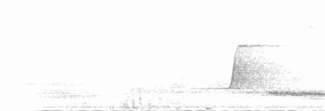 Ядлівчак сірий - ML58288721