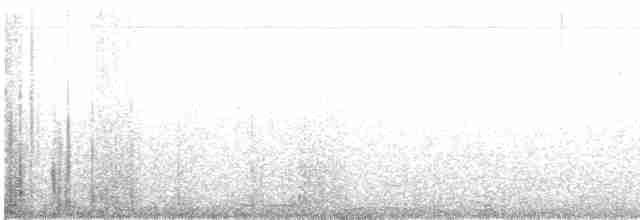 Paruline à calotte noire (chryseola) - ML582902921