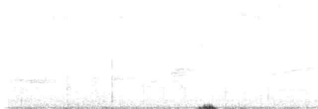Ширококрылый канюк - ML582955211
