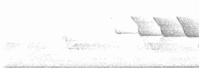 Acadian Flycatcher - ML582972931