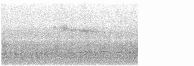 Colibri de Mulsant - ML582992601