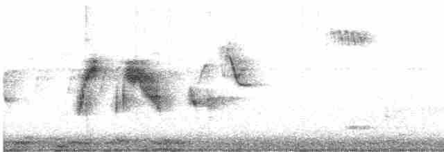 vierempid - ML583041721