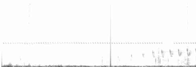 Buff-collared Nightjar - ML583051111