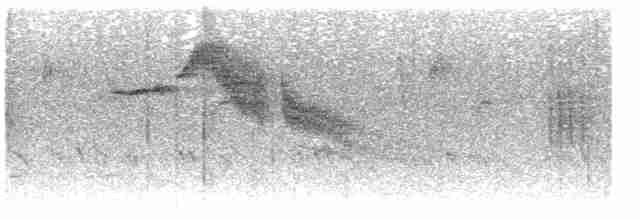 Fulvous Parrotbill - ML583052701