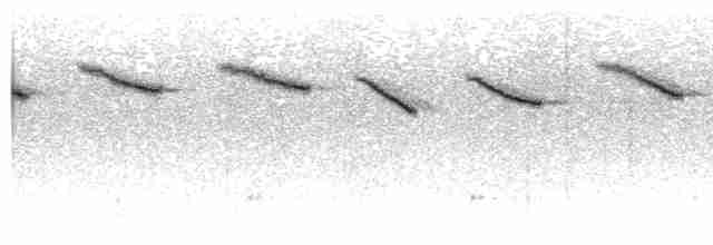Крапчатый короткокрыл - ML583060171