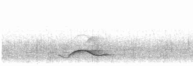 Чагарниця плямистоплеча - ML583060821