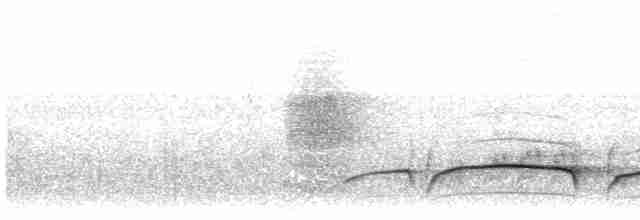 Чагарниця плямистоплеча - ML583060831